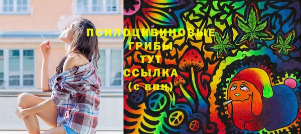 шишки Лиски