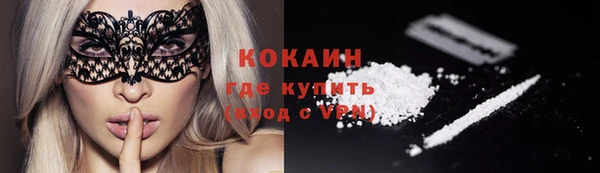 шишки Лиски