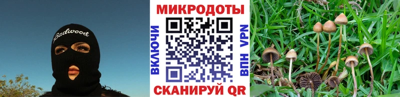 Псилоцибиновые грибы Psilocybe  площадка Telegram  Новомичуринск 