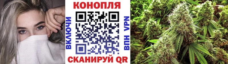 где купить наркотик  Новомичуринск  МАРИХУАНА план 